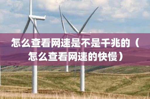 怎么查看网速是不是千兆的（怎么查看网速的快慢）