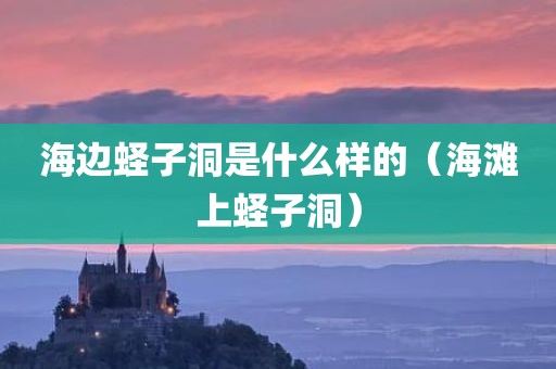 海边蛏子洞是什么样的（海滩上蛏子洞）