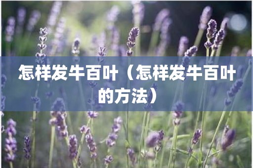 怎样发牛百叶（怎样发牛百叶的方法）
