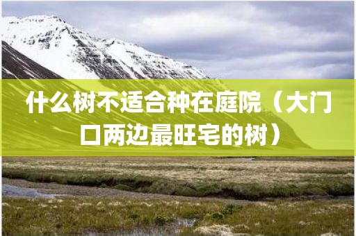 什么树不适合种在庭院（大门口两边最旺宅的树）