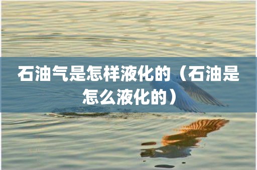 石油气是怎样液化的（石油是怎么液化的）