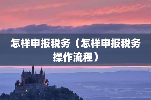 怎样申报税务（怎样申报税务操作流程）