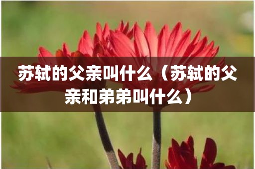 苏轼的父亲叫什么（苏轼的父亲和弟弟叫什么）