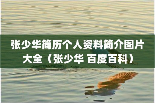 张少华简历个人资料简介图片大全（张少华 百度百科）