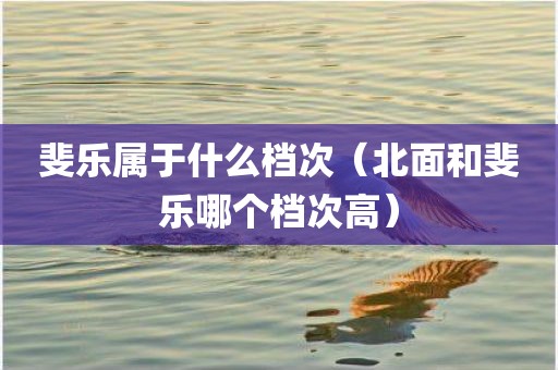 斐乐属于什么档次（北面和斐乐哪个档次高）