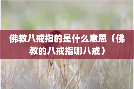 佛教八戒指的是什么意思(佛教的八戒指哪八戒) 佛教八戒指的是什么意思(佛教的八戒指哪八戒)