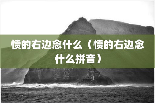 愤的右边念什么（愤的右边念什么拼音）