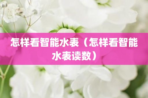 怎样看智能水表（怎样看智能水表读数）