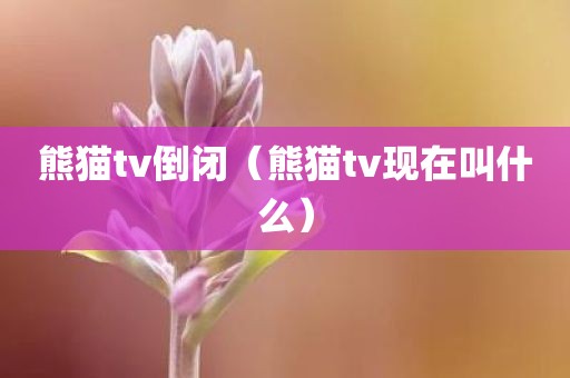 熊猫tv倒闭（熊猫tv现在叫什么）