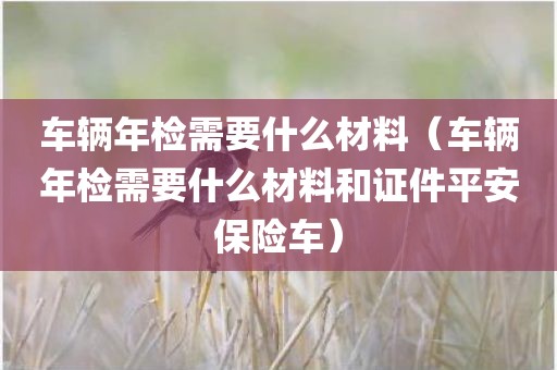 车辆年检需要什么材料（车辆年检需要什么材料和证件平安保险车）