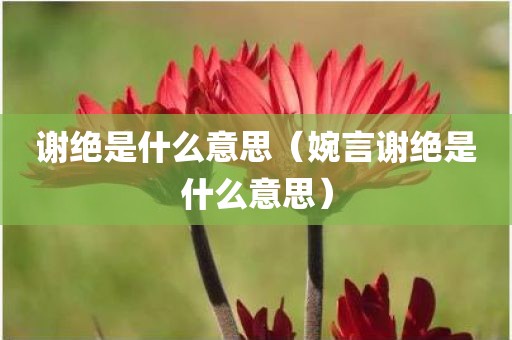 谢绝是什么意思（婉言谢绝是什么意思）