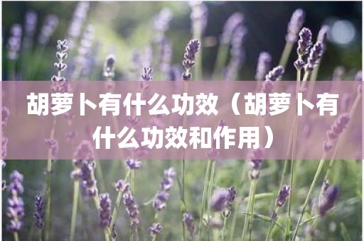 胡萝卜有什么功效（胡萝卜有什么功效和作用）