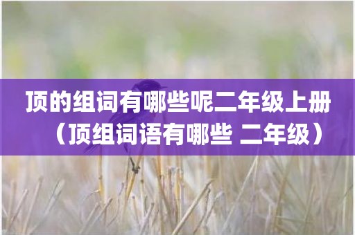顶的组词有哪些呢二年级上册（顶组词语有哪些 二年级）