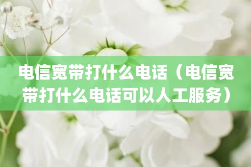 电信宽带打什么电话（电信宽带打什么电话可以人工服务）