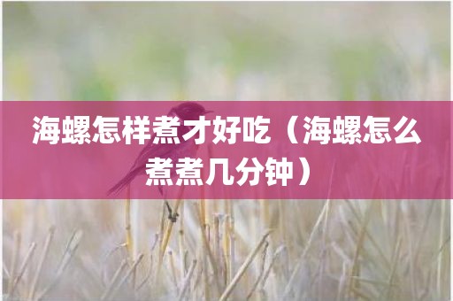 海螺怎样煮才好吃（海螺怎么煮煮几分钟）