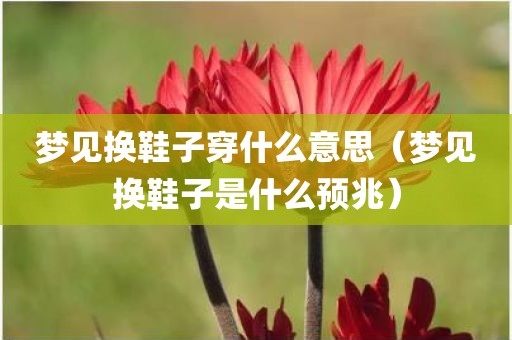 梦见换鞋子穿什么意思（梦见换鞋子是什么预兆）