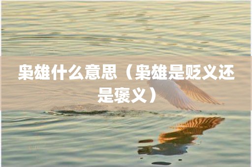 枭雄什么意思（枭雄是贬义还是褒义）