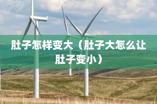 肚子怎样变大（肚子大怎么让肚子变小）
