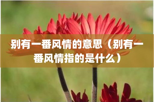 别有一番风情的意思（别有一番风情指的是什么）