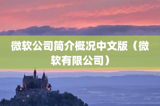 微软公司简介概况中文版（微软有限公司）