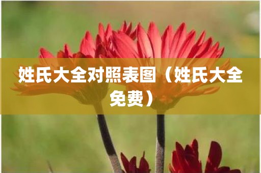 姓氏大全对照表图（姓氏大全免费）