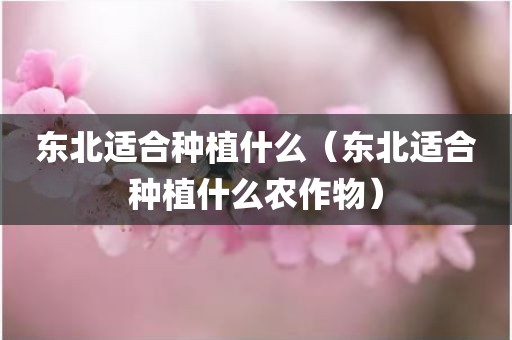 东北适合种植什么（东北适合种植什么农作物）
