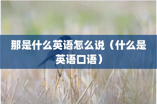 那是什么英语怎么说（什么是英语口语）