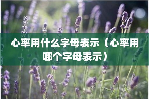 心率用什么字母表示（心率用哪个字母表示）