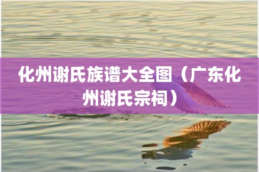 化州谢氏族谱大全图（广东化州谢氏宗祠）