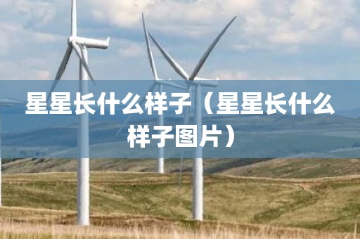 星星长什么样子（星星长什么样子图片）