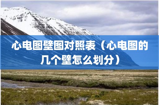 心电图壁图对照表（心电图的几个壁怎么划分）