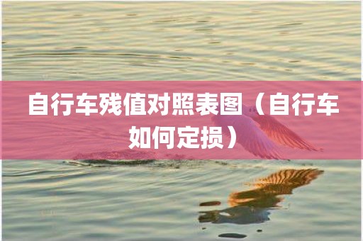 自行车残值对照表图（自行车如何定损）
