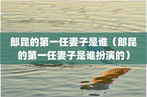 郎昆的第一任妻子是谁（郎昆的第一任妻子是谁扮演的）