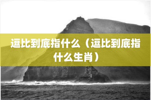 逗比到底指什么（逗比到底指什么生肖）