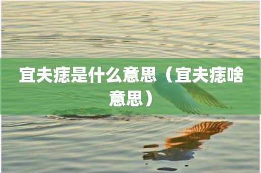 宜夫痣是什么意思（宜夫痣啥意思）