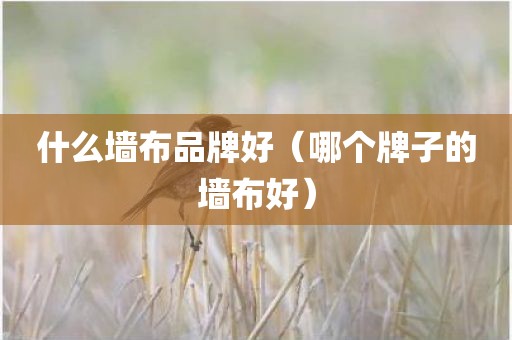 什么墙布品牌好（哪个牌子的墙布好）