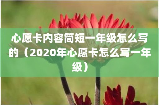 心愿卡内容简短一年级怎么写的(2020年心愿卡怎么写一年级)