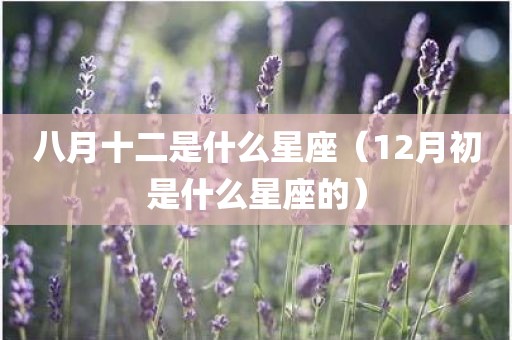 八月十二是什么星座（12月初是什么星座的）