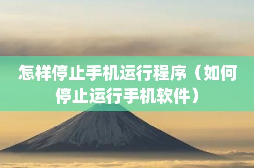 怎样停止手机运行程序（如何停止运行手机软件）