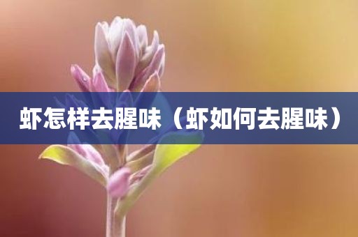 虾怎样去腥味（虾如何去腥味）