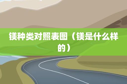 镁种类对照表图（镁是什么样的）