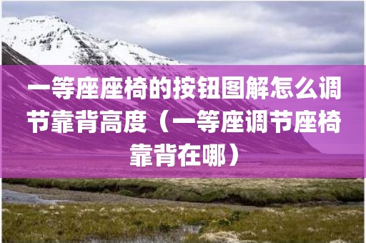 一等座座椅的按钮图解怎么调节靠背高度（一等座调节座椅靠背在哪）