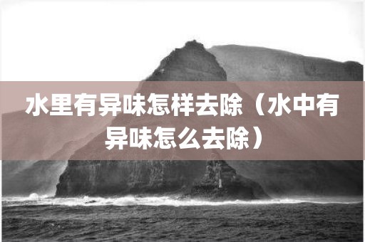 水里有异味怎样去除（水中有异味怎么去除）