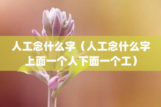 人工念什么字（人工念什么字上面一个人下面一个工）
