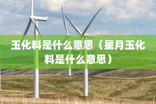 玉化料是什么意思（星月玉化料是什么意思）
