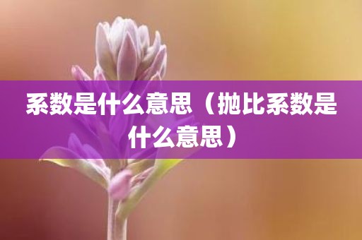 系数是什么意思(抛比系数是什么意思)