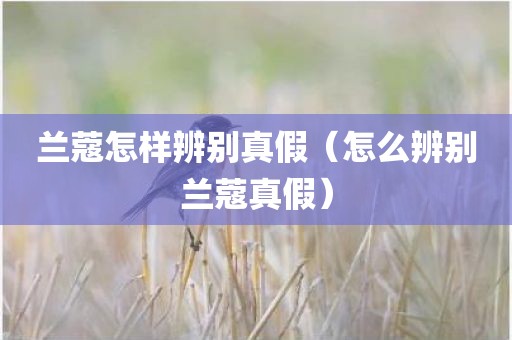 兰蔻怎样辨别真假（怎么辨别兰蔻真假）