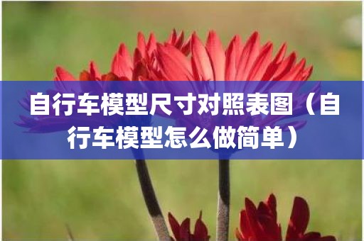 自行车模型尺寸对照表图（自行车模型怎么做简单）