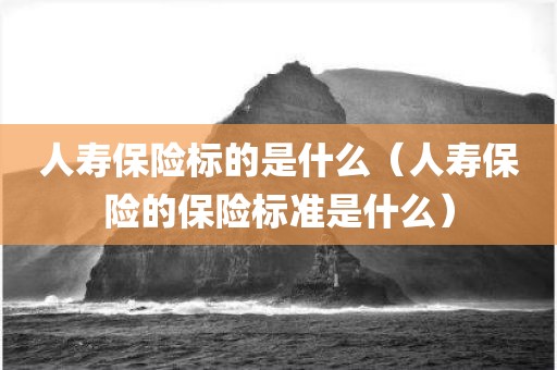 人寿保险标的是什么（人寿保险的保险标准是什么）