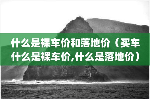 什么是裸车价和落地价（买车什么是裸车价,什么是落地价）